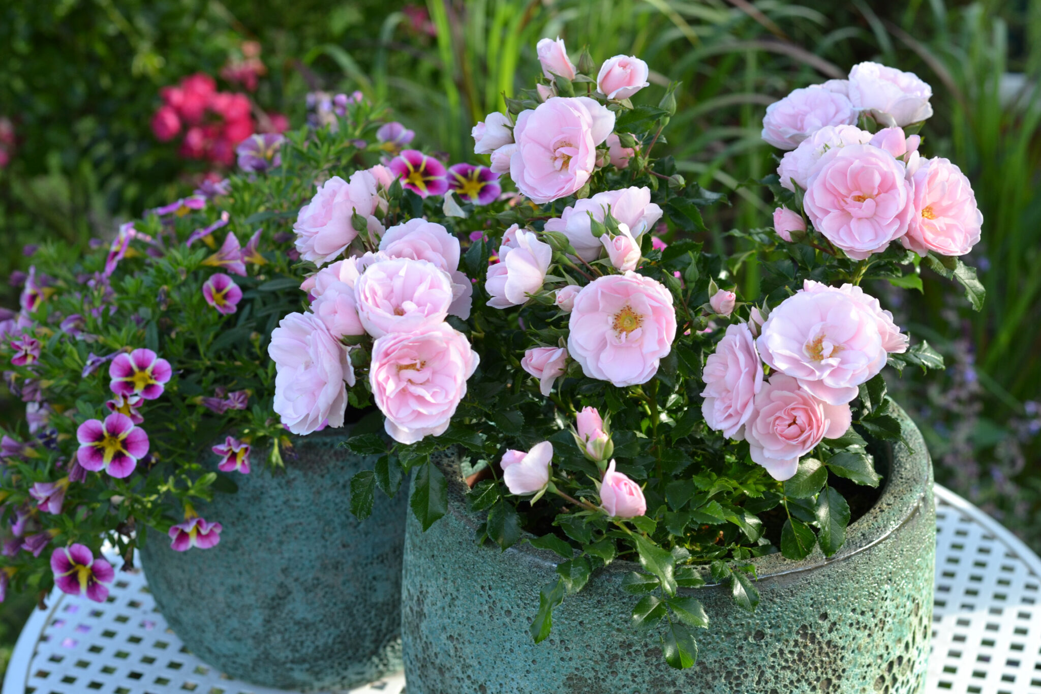 Medley® Pastel – Bild 5